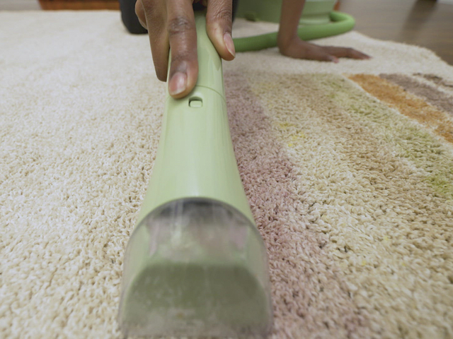 5 Best Carpet Cleaners 2024 Reviewed Hgtv